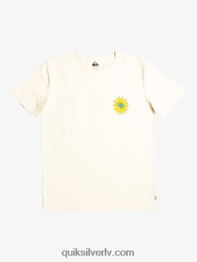 vīriešiem Quiksilver planētas pozitīvais t-krekls bērzs 88064R1340