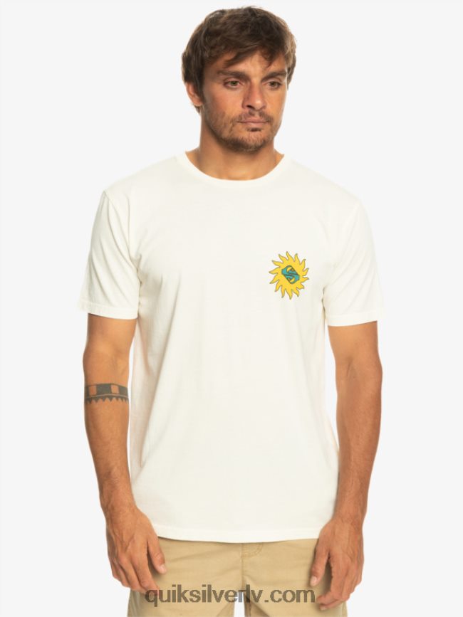 vīriešiem Quiksilver planētas pozitīvais t-krekls bērzs 88064R1340