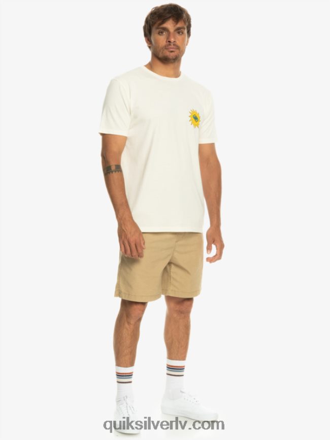 vīriešiem Quiksilver planētas pozitīvais t-krekls bērzs 88064R1340