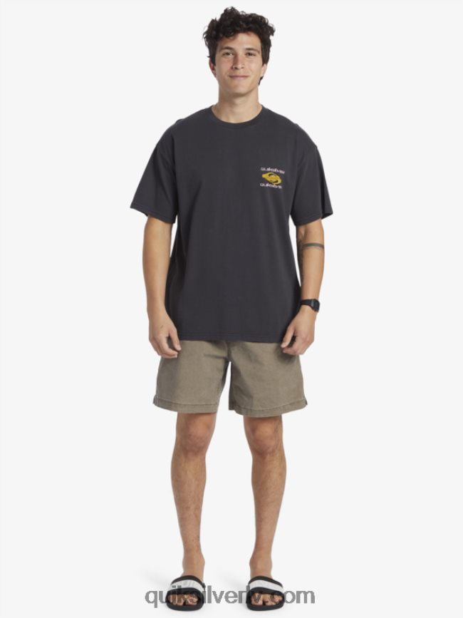 vīriešiem Quiksilver power trip t-krekls melns 88064R759