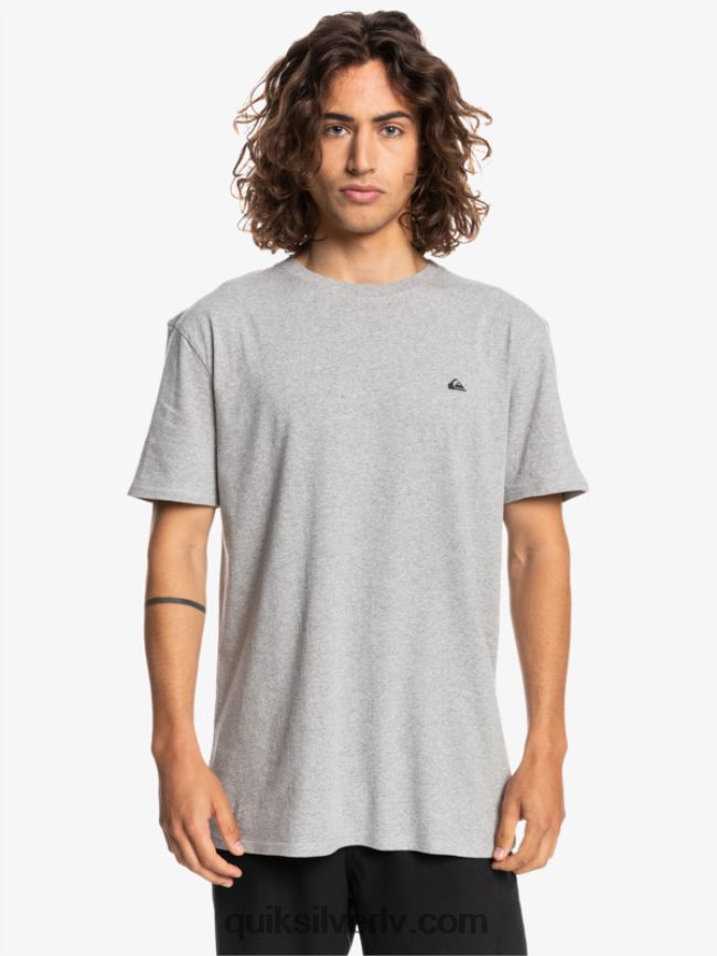 vīriešiem Quiksilver proforma t-krekls gaiši pelēki virši 88064R1570