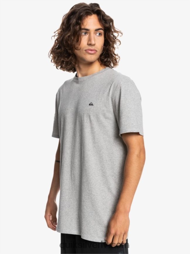 vīriešiem Quiksilver proforma t-krekls gaiši pelēki virši 88064R1570