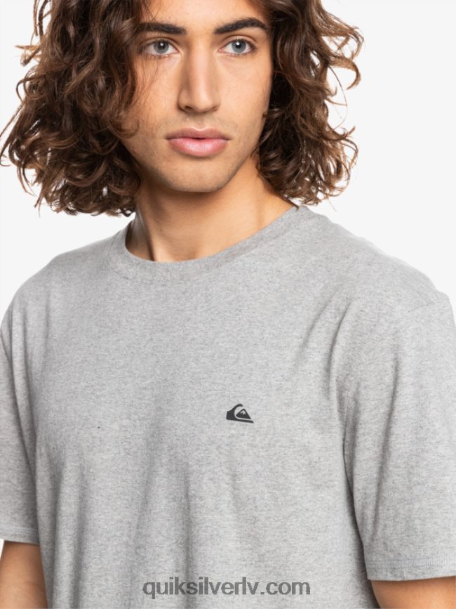 vīriešiem Quiksilver proforma t-krekls gaiši pelēki virši 88064R1570