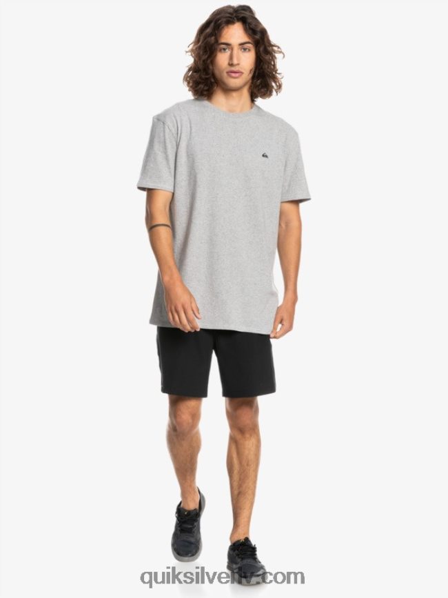 vīriešiem Quiksilver proforma t-krekls gaiši pelēki virši 88064R1570