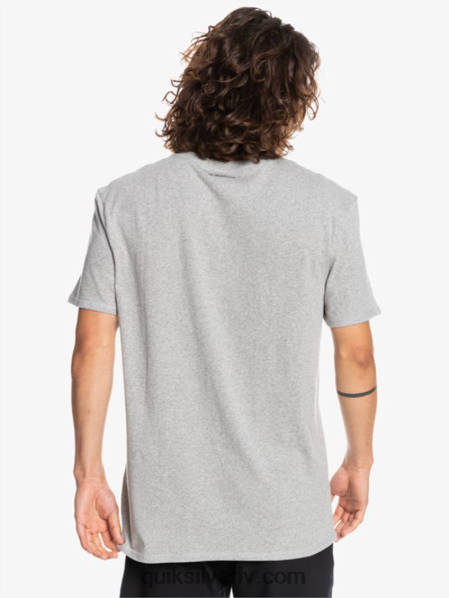 vīriešiem Quiksilver proforma t-krekls gaiši pelēki virši 88064R1570