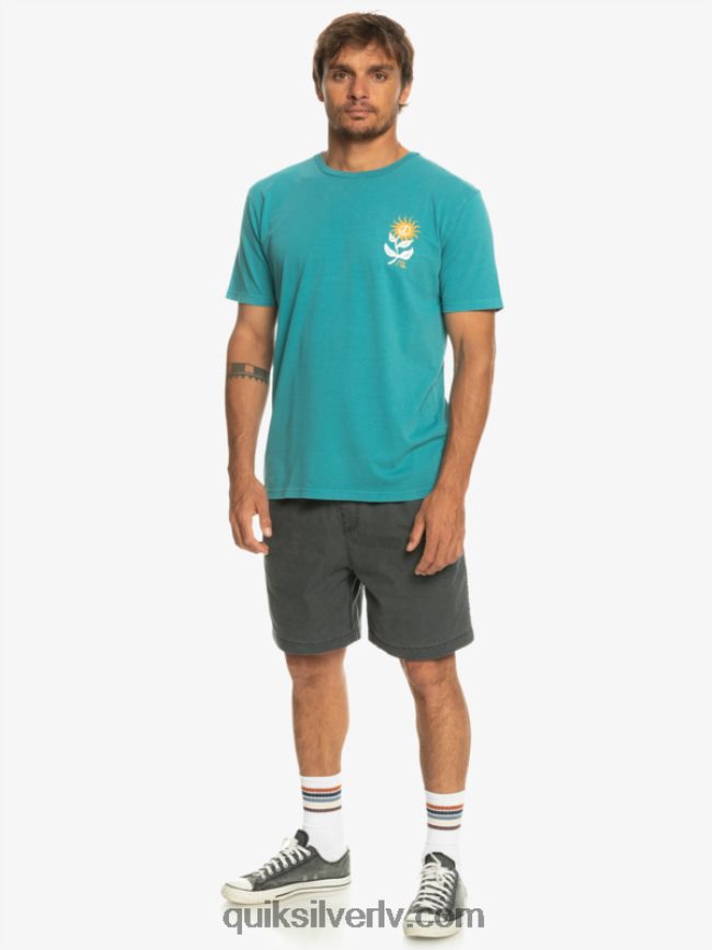 vīriešiem Quiksilver saules ziedēšanas t-krekls Bretaņas zilā 88064R1021