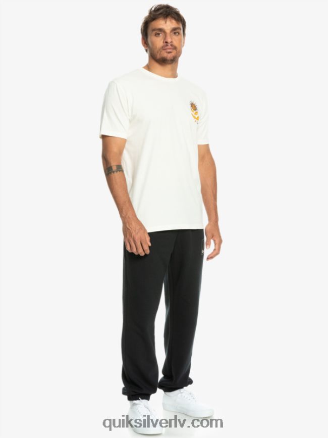 vīriešiem Quiksilver saules ziedēšanas t-krekls bērzs 88064R1020