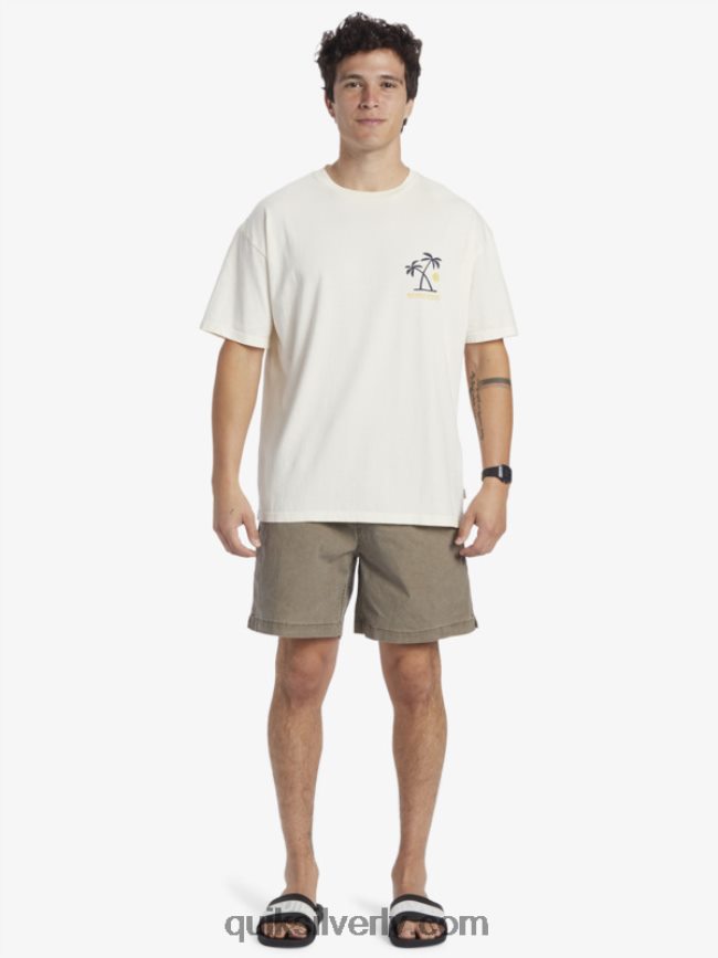 vīriešiem Quiksilver saulrieta rituālu t-krekls bērzs 88064R391