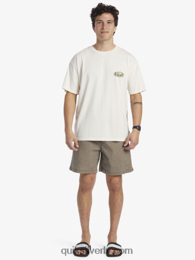 vīriešiem Quiksilver skaidra prāta t-krekls bērzs 88064R741