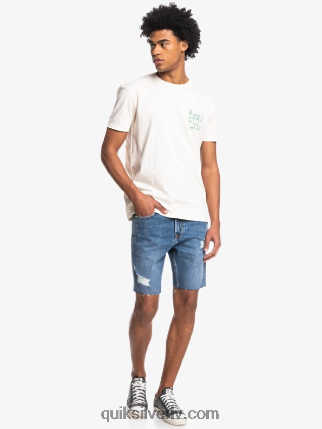 vīriešiem Quiksilver slēpto ziņojumu t-krekls bērzs 88064R1762