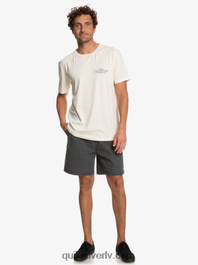 vīriešiem Quiksilver vārdu t-krekls bērzs 88064R934
