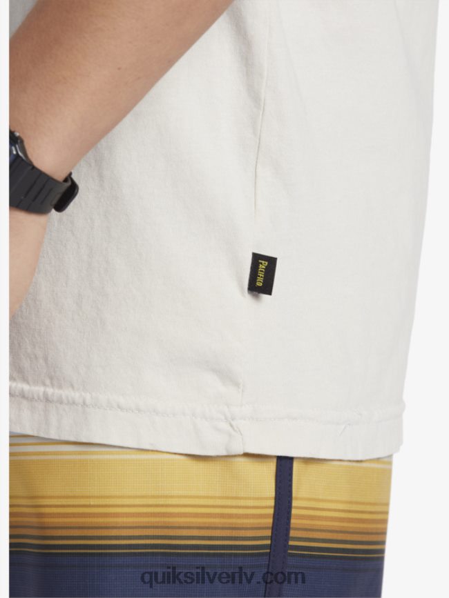 vīriešiem Quiksilver x Pacifico Scenic Vibes T-krekls akmens 88064R9
