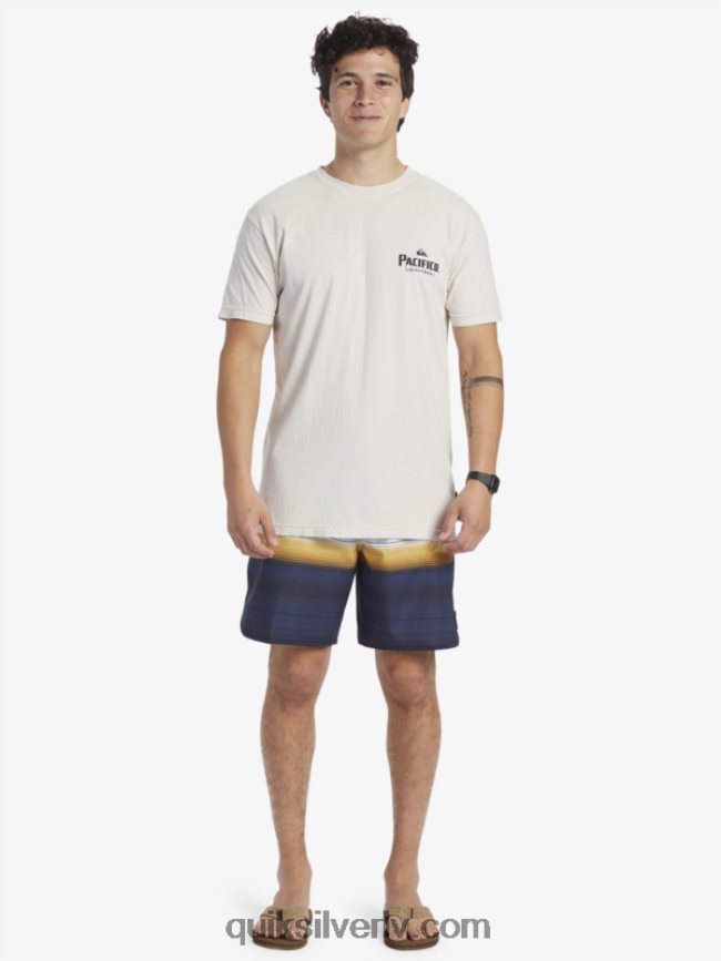vīriešiem Quiksilver x Pacifico Scenic Vibes T-krekls akmens 88064R9