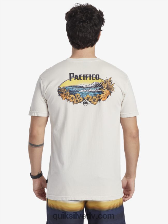 vīriešiem Quiksilver x Pacifico Scenic Vibes T-krekls akmens 88064R9