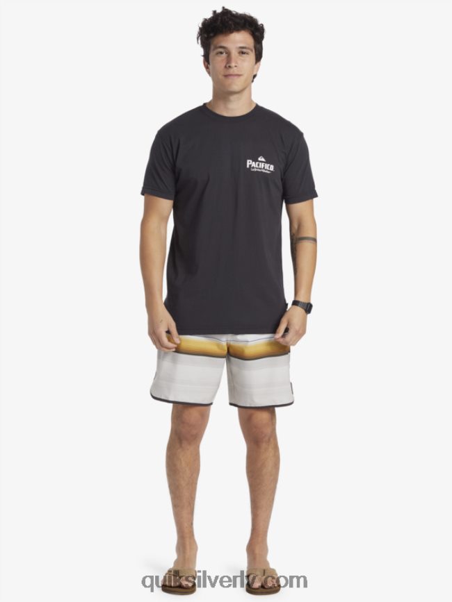 vīriešiem Quiksilver x Pacifico Scenic Vibes T-krekls asfalts 88064R10