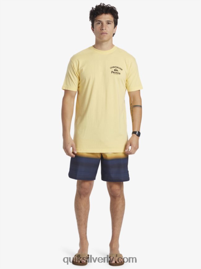 vīriešiem Quiksilver x Pacifico lockup t-krekls zelts 88064R2