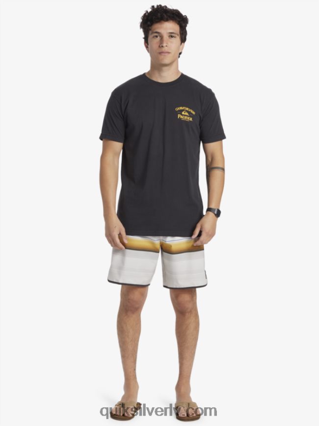 vīriešiem Quiksilver x Pacifico taisns šāvēja t-krekls asfalts 88064R8