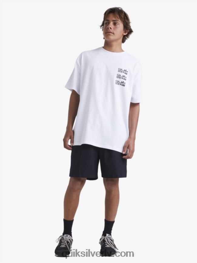 vīriešiem Quiksilver x Stab t-krekls balts 88064R1668