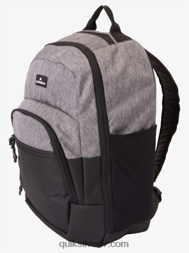 vīriešiem Quiksilver schoolie cooler 30l mugursoma mantojuma virši 88064R372