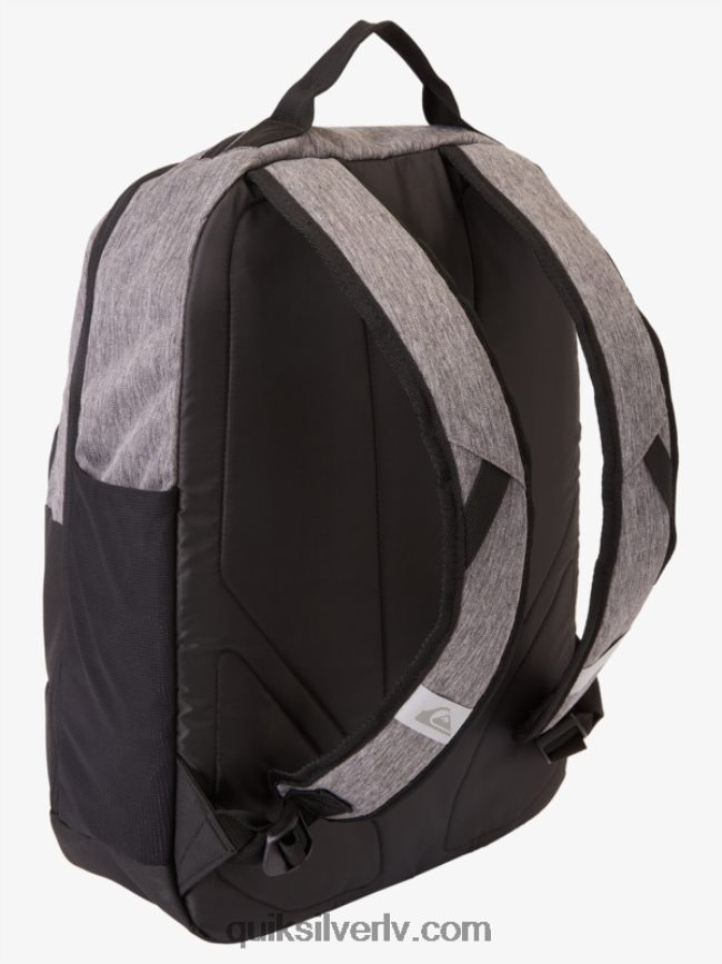 vīriešiem Quiksilver schoolie cooler 30l mugursoma mantojuma virši 88064R372
