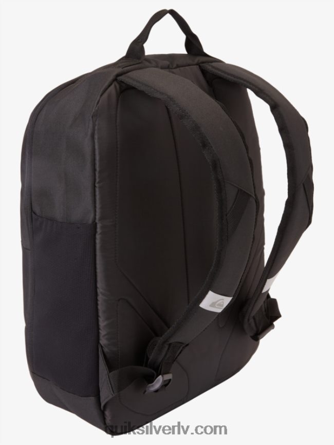 vīriešiem Quiksilver schoolie cooler 30l mugursoma melns 88064R371