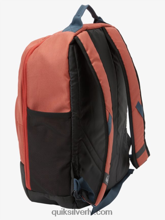 vīriešiem Quiksilver schoolie cooler 30l mugursoma sarkanais okers 88064R375