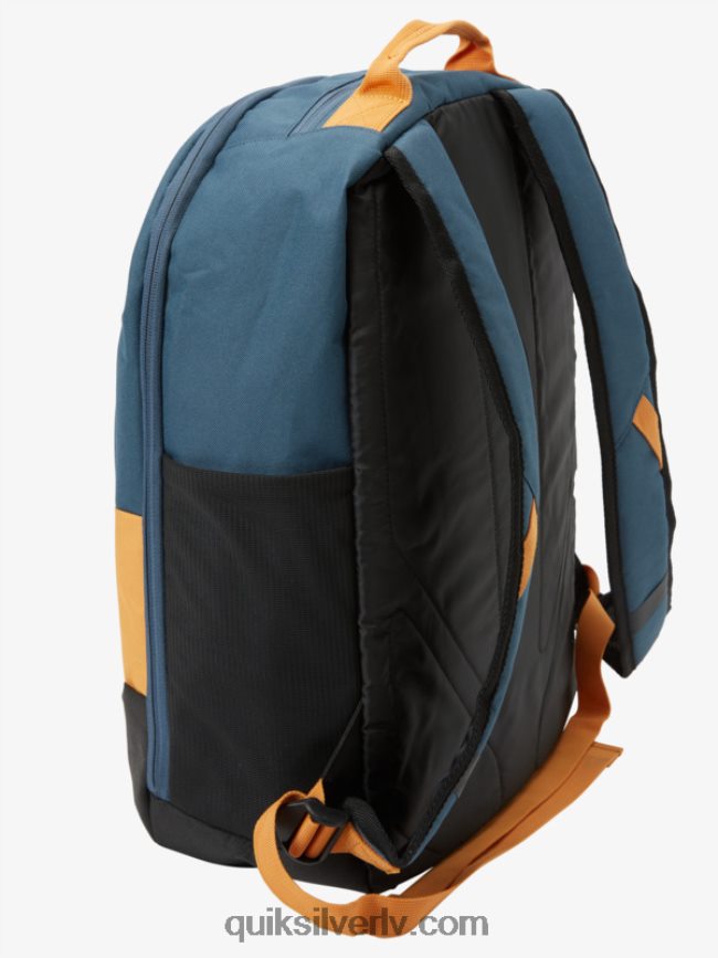 vīriešiem Quiksilver schoolie cooler 30l mugursoma tīrradnis 88064R374