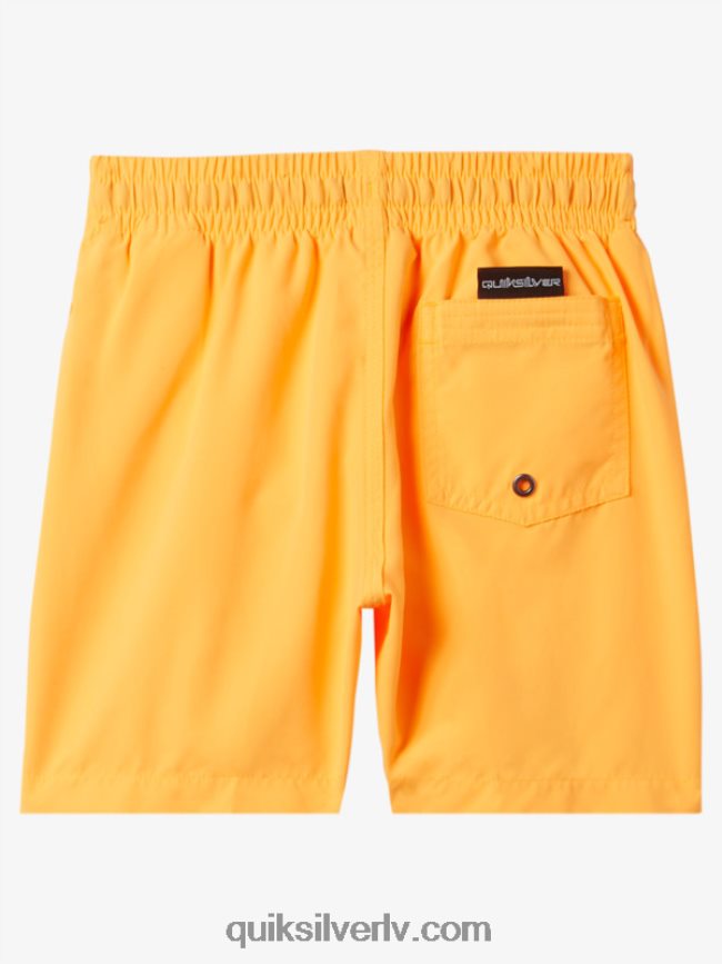 zēni Quiksilver 2-7 ikdienas 12 zalves oranžais pops 88064R2001