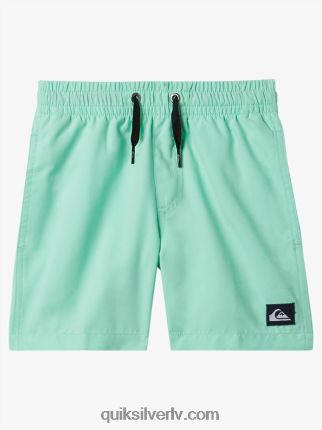 zēni Quiksilver 2-7 ikdienas 12 zalves pludmales stikls 88064R1999