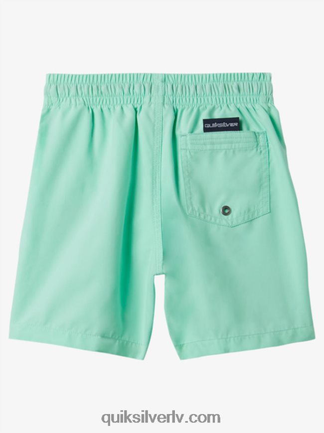 zēni Quiksilver 2-7 ikdienas 12 zalves pludmales stikls 88064R1999