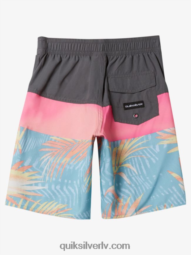 zēni Quiksilver 2-7 ikdienas paneļa 14 dēļu šorti dzelzs vārti 88064R1900