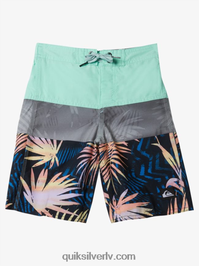 zēni Quiksilver 2-7 ikdienas paneļa 14 dēļu šorti pludmales stikls 88064R1899