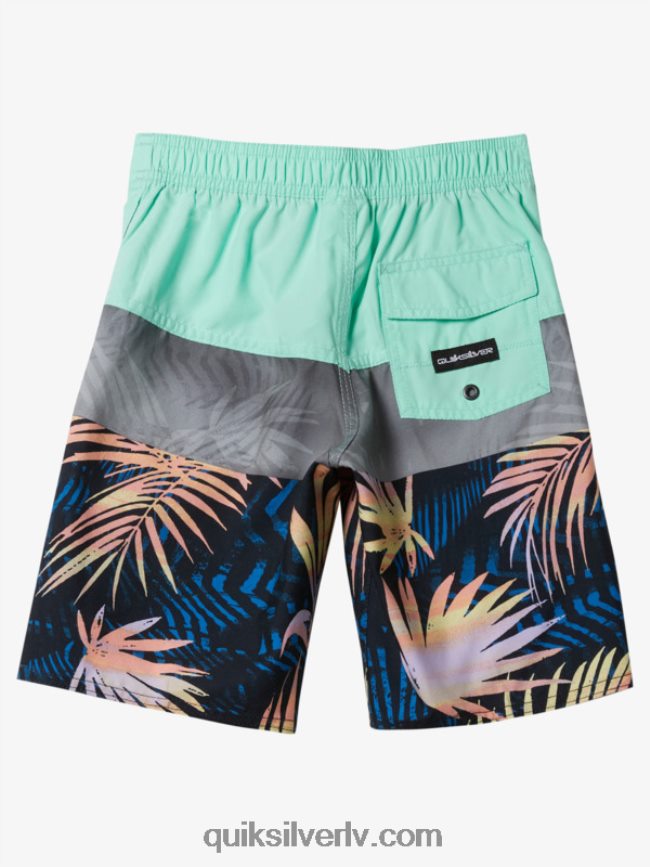zēni Quiksilver 2-7 ikdienas paneļa 14 dēļu šorti pludmales stikls 88064R1899
