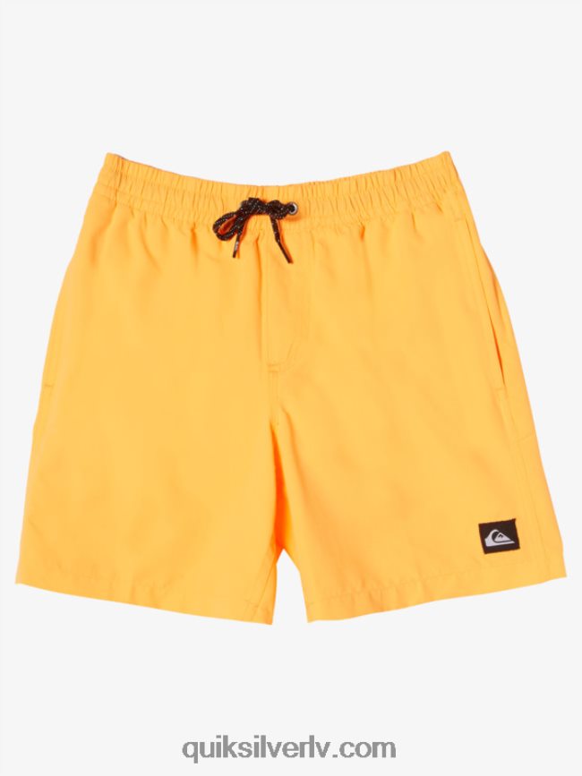 zēni Quiksilver 8-16 ikdienas 15 zalves oranžais pops 88064R1917