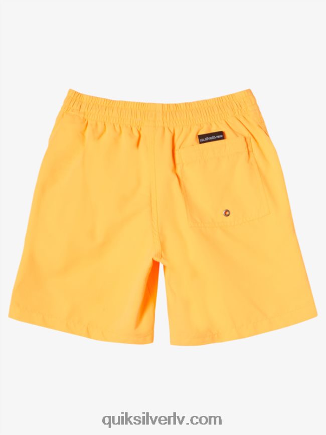 zēni Quiksilver 8-16 ikdienas 15 zalves oranžais pops 88064R1917