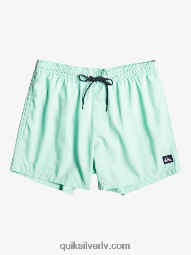zēni Quiksilver 8-16 ikdienas 15 zalves pludmales stikls 88064R1919