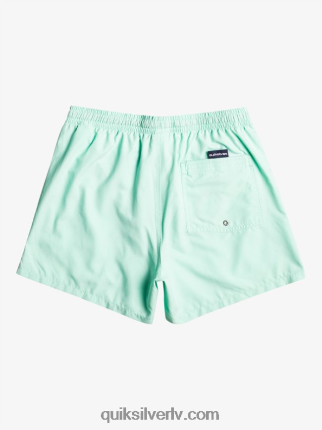 zēni Quiksilver 8-16 ikdienas 15 zalves pludmales stikls 88064R1919
