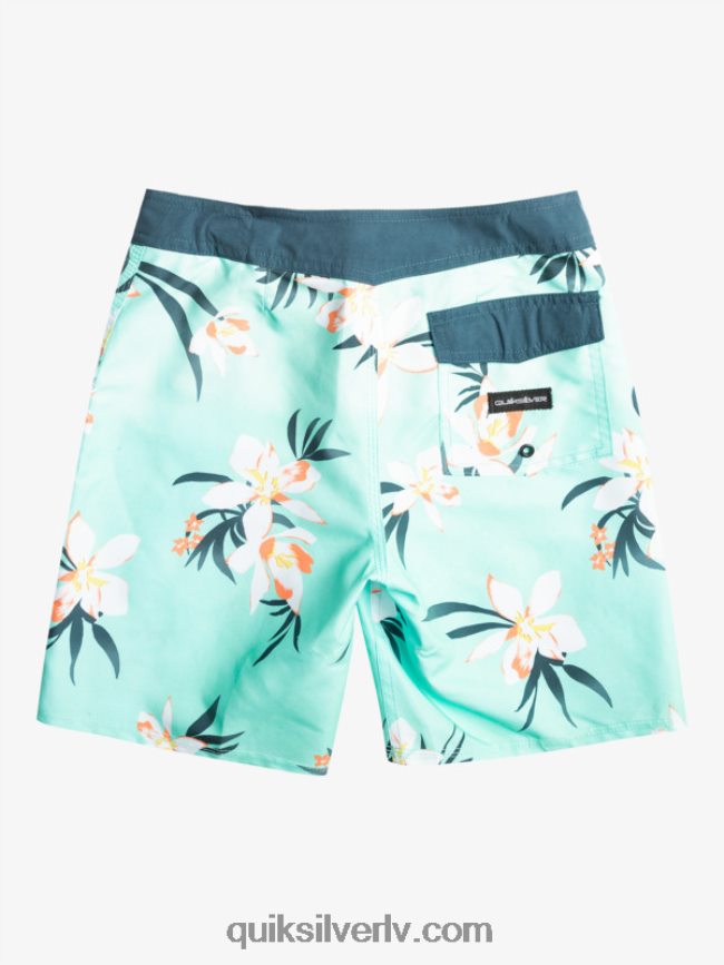 zēni Quiksilver 8-16 ikdienas qs 69 16 dēļu šorti pludmales stikls 88064R2140