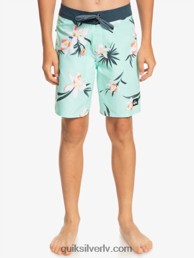 zēni Quiksilver 8-16 ikdienas qs 69 16 dēļu šorti pludmales stikls 88064R2140