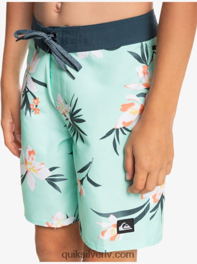 zēni Quiksilver 8-16 ikdienas qs 69 16 dēļu šorti pludmales stikls 88064R2140