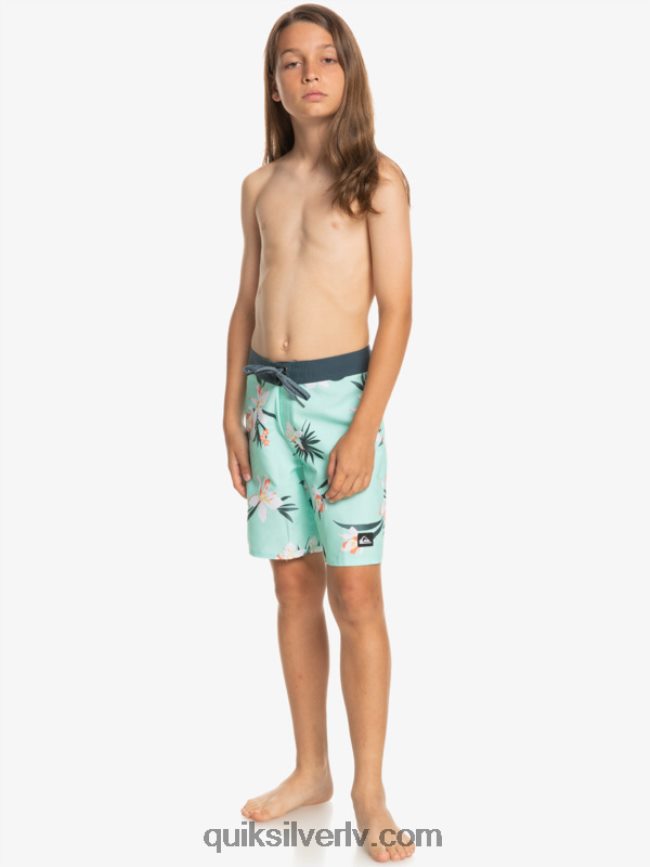 zēni Quiksilver 8-16 ikdienas qs 69 16 dēļu šorti pludmales stikls 88064R2140