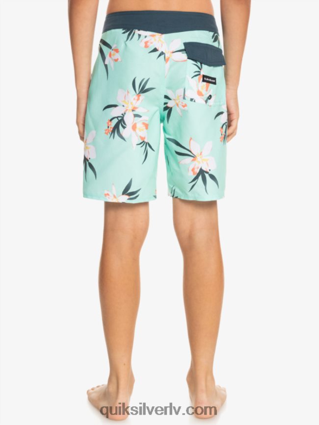 zēni Quiksilver 8-16 ikdienas qs 69 16 dēļu šorti pludmales stikls 88064R2140