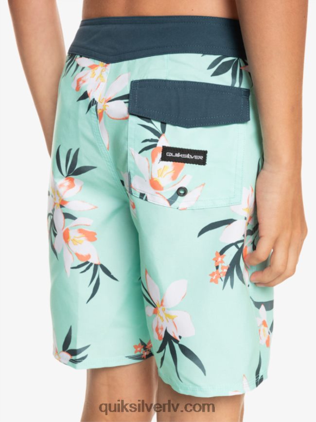 zēni Quiksilver 8-16 ikdienas qs 69 16 dēļu šorti pludmales stikls 88064R2140