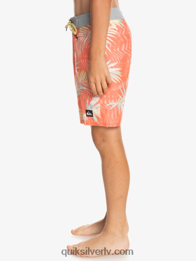 zēni Quiksilver 8-16 ikdienas qs 69 16 dēļu šorti svaigs lasis 88064R2139