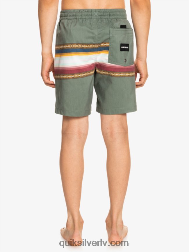 zēni Quiksilver 8-16 saulē izbalējis 15 pārstrādātas zalves timiāns 88064R2321