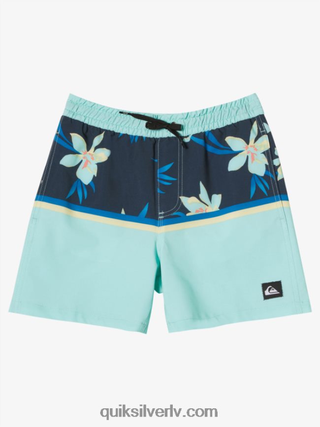 zēni Quiksilver 8-16 surfsilk division vl 14 volleys pludmales stikls 88064R2141