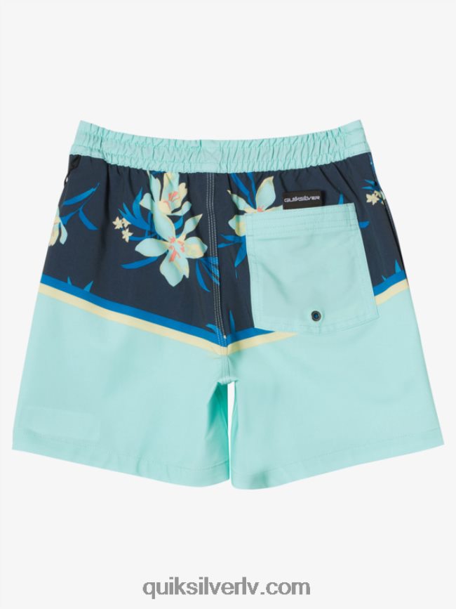 zēni Quiksilver 8-16 surfsilk division vl 14 volleys pludmales stikls 88064R2141