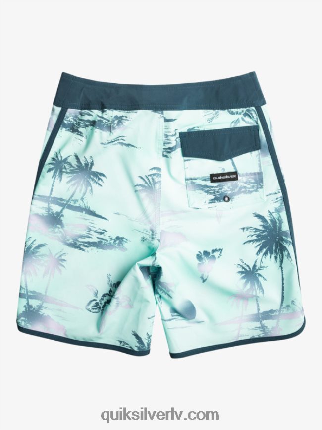 zēni Quiksilver 8-16 surfsilk ķemmīšgliemene 17 dēļu šorti pludmales stikls 88064R2020