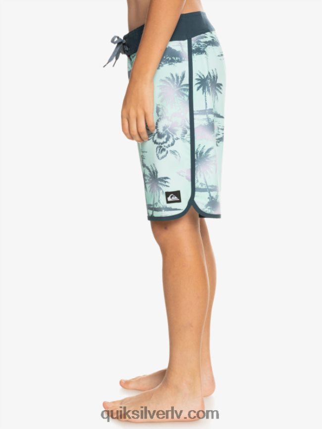 zēni Quiksilver 8-16 surfsilk ķemmīšgliemene 17 dēļu šorti pludmales stikls 88064R2020