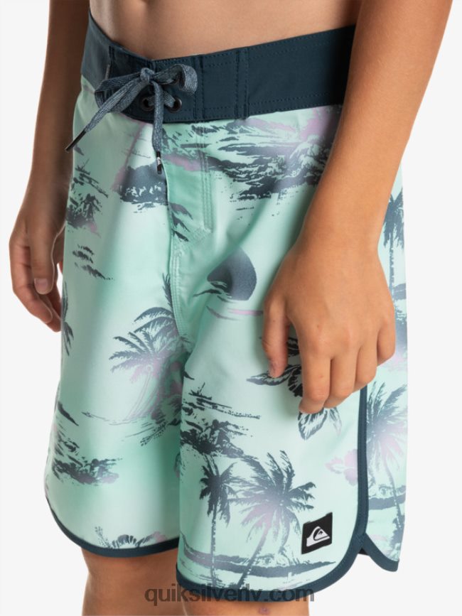 zēni Quiksilver 8-16 surfsilk ķemmīšgliemene 17 dēļu šorti pludmales stikls 88064R2020